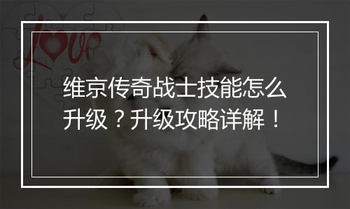 维京传奇战士技能怎么升级？升级攻略详解！