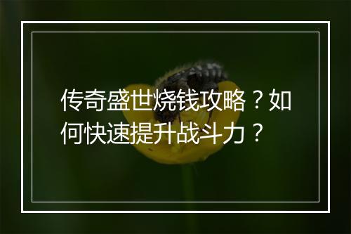 传奇盛世烧钱攻略？如何快速提升战斗力？