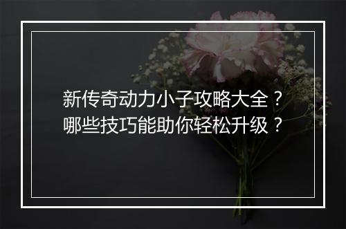 新传奇动力小子攻略大全？哪些技巧能助你轻松升级？