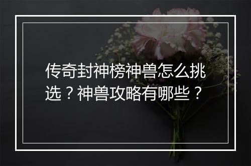 传奇封神榜神兽怎么挑选？神兽攻略有哪些？