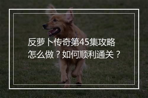 反萝卜传奇第45集攻略怎么做？如何顺利通关？