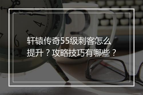 轩辕传奇55级刺客怎么提升？攻略技巧有哪些？