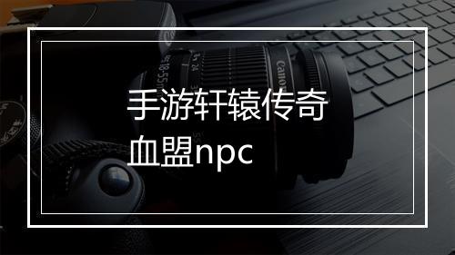 手游轩辕传奇血盟npc