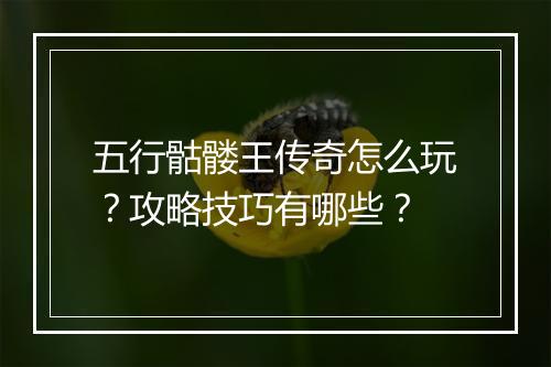 五行骷髅王传奇怎么玩？攻略技巧有哪些？