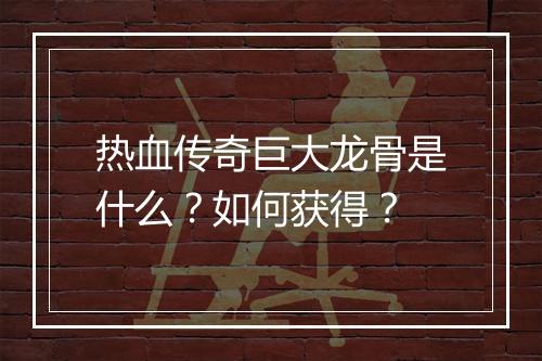 热血传奇巨大龙骨是什么？如何获得？