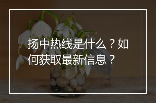 扬中热线是什么？如何获取最新信息？
