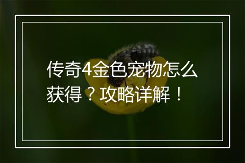传奇4金色宠物怎么获得？攻略详解！