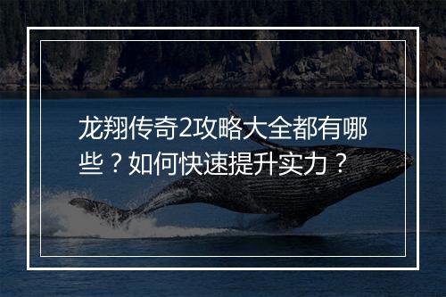 龙翔传奇2攻略大全都有哪些？如何快速提升实力？