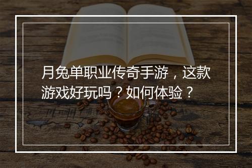 月兔单职业传奇手游，这款游戏好玩吗？如何体验？