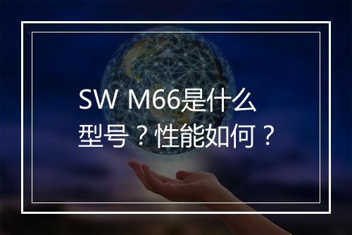 SW M66是什么型号？性能如何？