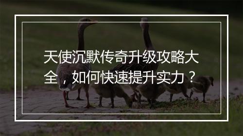 天使沉默传奇升级攻略大全，如何快速提升实力？