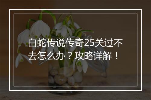 白蛇传说传奇25关过不去怎么办？攻略详解！