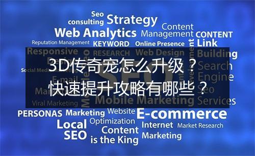 3D传奇宠怎么升级？快速提升攻略有哪些？