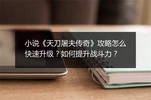 小说《天刀屠夫传奇》攻略怎么快速升级？如何提升战斗力？