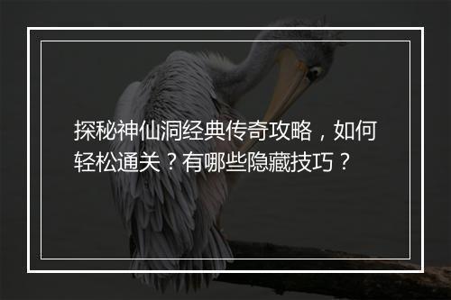 探秘神仙洞经典传奇攻略，如何轻松通关？有哪些隐藏技巧？