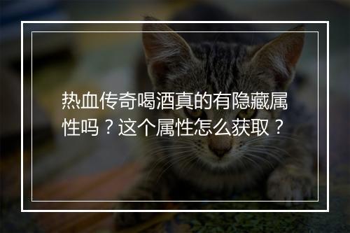 热血传奇喝酒真的有隐藏属性吗？这个属性怎么获取？