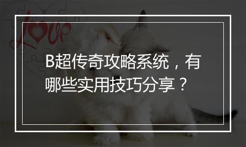 B超传奇攻略系统，有哪些实用技巧分享？