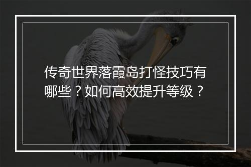 传奇世界落霞岛打怪技巧有哪些？如何高效提升等级？