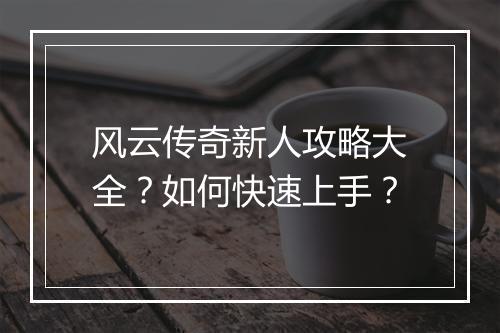 风云传奇新人攻略大全？如何快速上手？