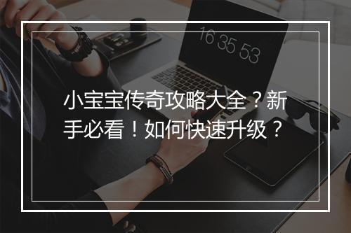 小宝宝传奇攻略大全？新手必看！如何快速升级？