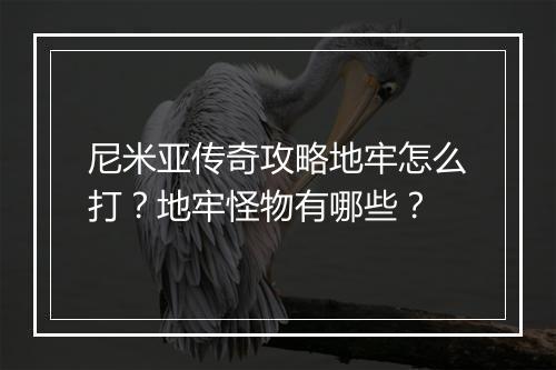 尼米亚传奇攻略地牢怎么打？地牢怪物有哪些？