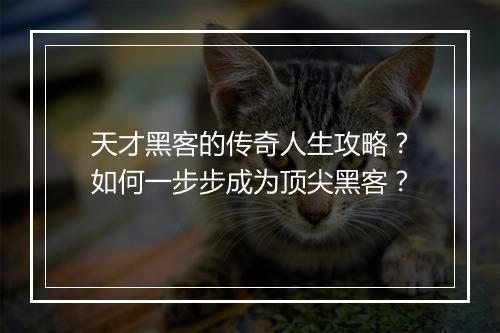 天才黑客的传奇人生攻略？如何一步步成为顶尖黑客？