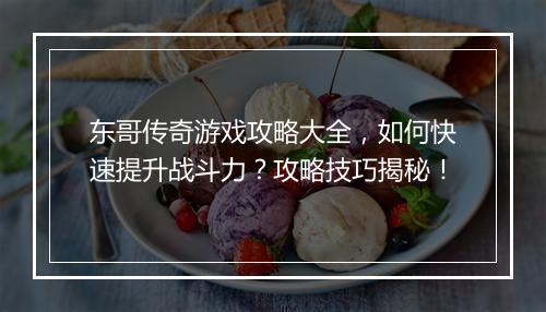 东哥传奇游戏攻略大全，如何快速提升战斗力？攻略技巧揭秘！