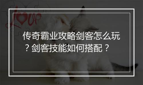 传奇霸业攻略剑客怎么玩？剑客技能如何搭配？