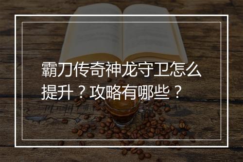 霸刀传奇神龙守卫怎么提升？攻略有哪些？