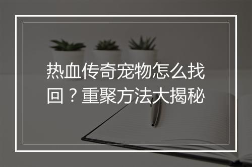 热血传奇宠物怎么找回？重聚方法大揭秘