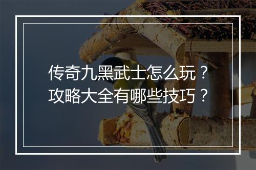 传奇九黑武士怎么玩？攻略大全有哪些技巧？