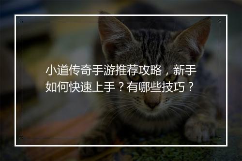 小道传奇手游推荐攻略，新手如何快速上手？有哪些技巧？