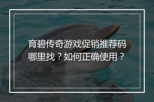 育碧传奇游戏促销推荐码哪里找？如何正确使用？