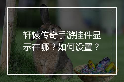 轩辕传奇手游挂件显示在哪？如何设置？