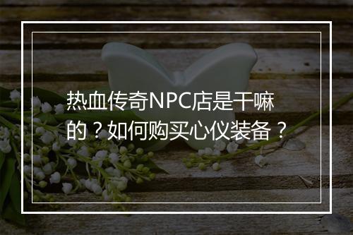热血传奇NPC店是干嘛的？如何购买心仪装备？