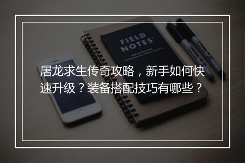 屠龙求生传奇攻略，新手如何快速升级？装备搭配技巧有哪些？
