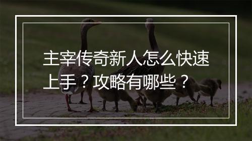 主宰传奇新人怎么快速上手？攻略有哪些？