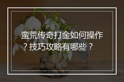 蛮荒传奇打金如何操作？技巧攻略有哪些？
