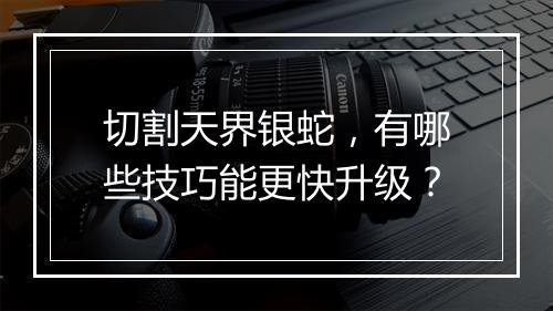 切割天界银蛇，有哪些技巧能更快升级？
