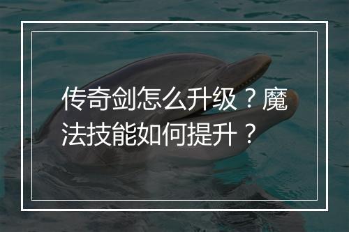 传奇剑怎么升级？魔法技能如何提升？