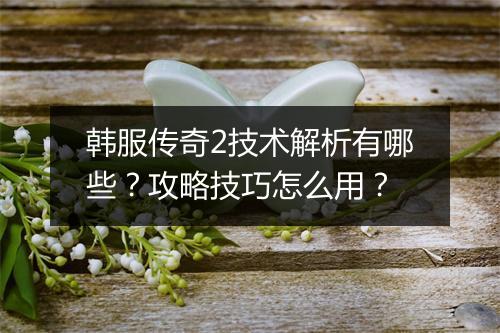 韩服传奇2技术解析有哪些？攻略技巧怎么用？