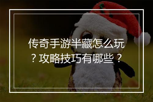 传奇手游半藏怎么玩？攻略技巧有哪些？