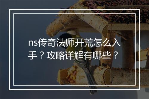 ns传奇法师开荒怎么入手？攻略详解有哪些？