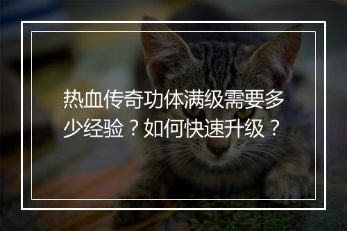 热血传奇功体满级需要多少经验？如何快速升级？