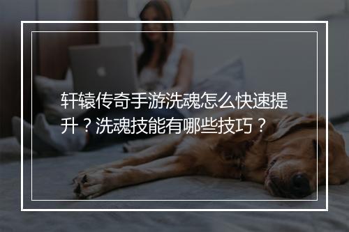 轩辕传奇手游洗魂怎么快速提升？洗魂技能有哪些技巧？