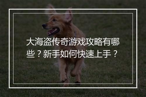 大海盗传奇游戏攻略有哪些？新手如何快速上手？