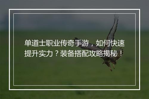 单道士职业传奇手游，如何快速提升实力？装备搭配攻略揭秘！