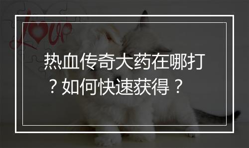 热血传奇大药在哪打？如何快速获得？