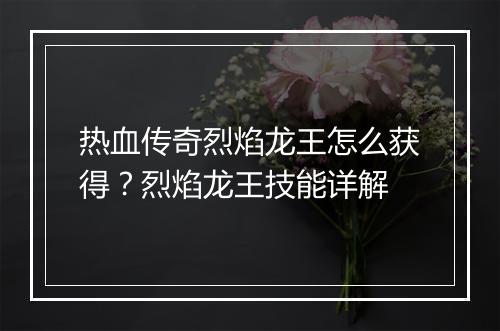 热血传奇烈焰龙王怎么获得？烈焰龙王技能详解