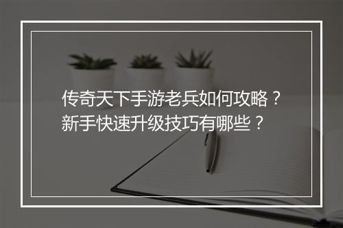 传奇天下手游老兵如何攻略？新手快速升级技巧有哪些？